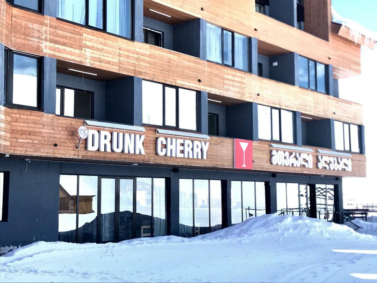Comfortable Apartment, New Gudauri, Ski resort Eksteriør bilde